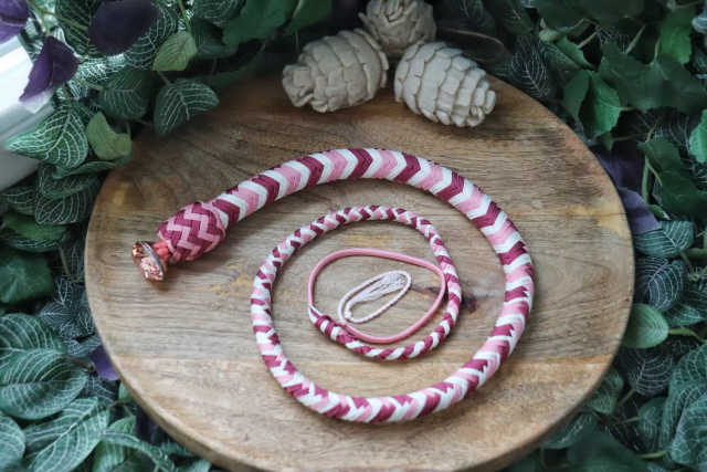 Whip N°21