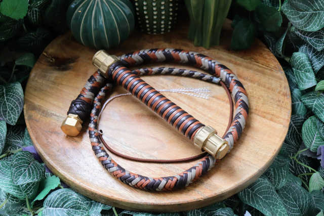 Whip N° 213