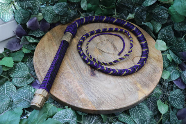 Whip Steampunk