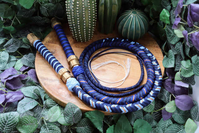 Whip N° 253