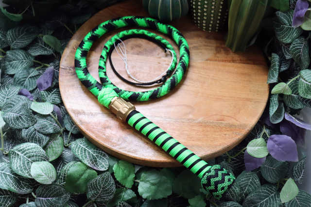 Whip N° 262