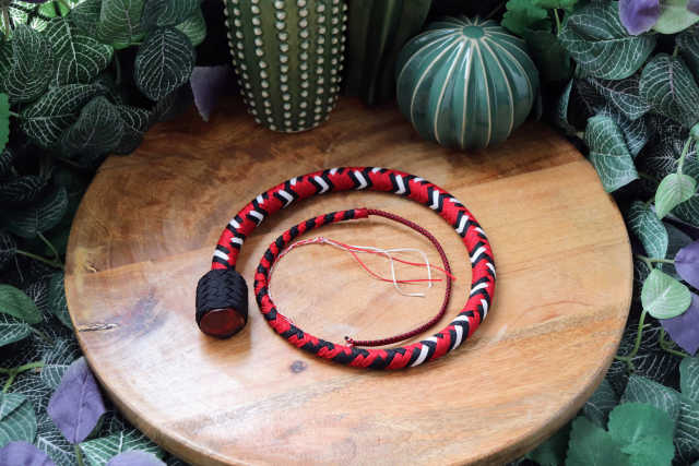 Whip N°266