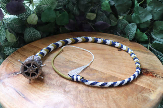 Whip N°30