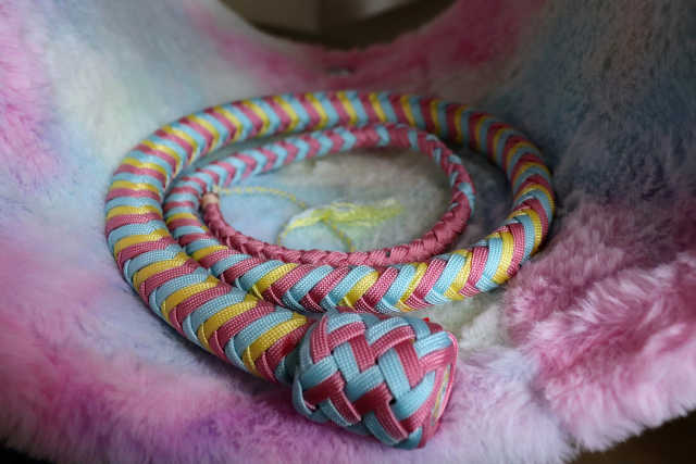 Whip Angel's Dream