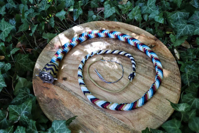 Whip Navy