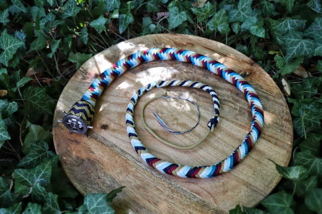 Whip N°5