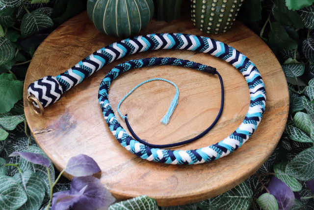 Whip Ocean's Ring