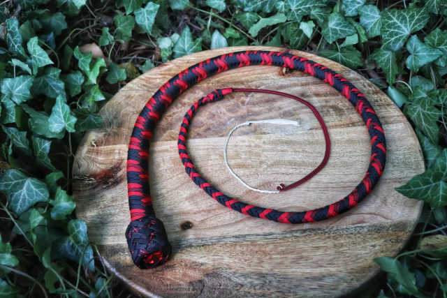 Whip N°6