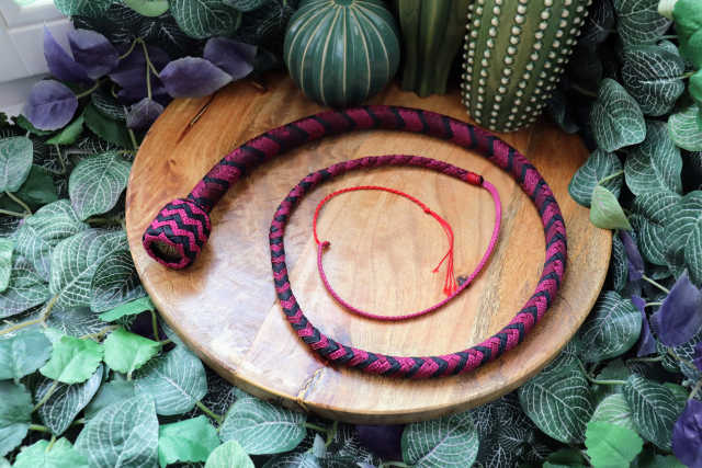 Whip Viking Wears Pink