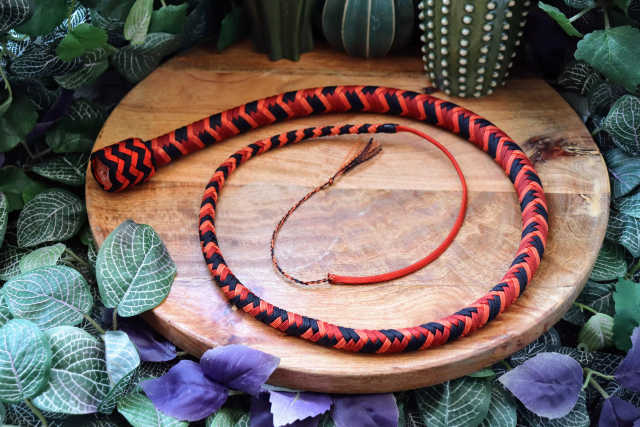 Whip N°77