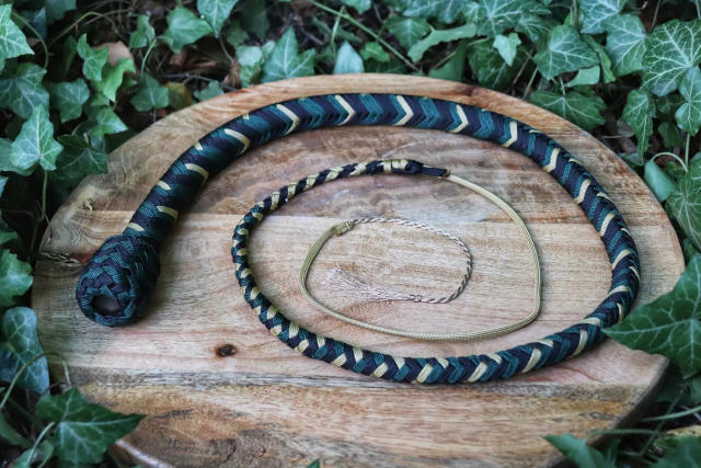 Whip Serpentard