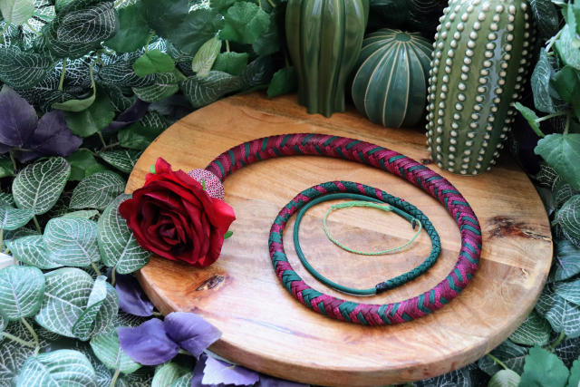 Whip La Bête et la Rose