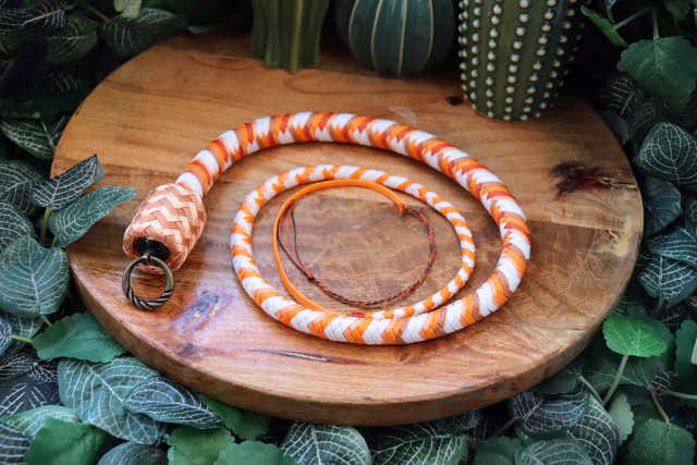 Whip Shiba Renardo