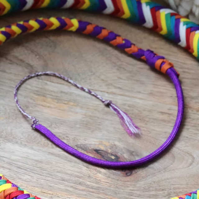 Pride Flag - products.whips.whip-end.undefined
