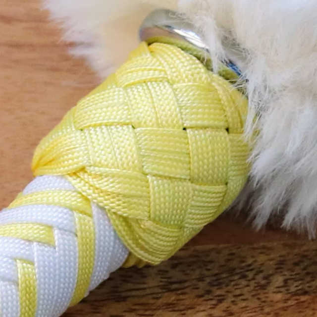 Alice - Select the knob knot