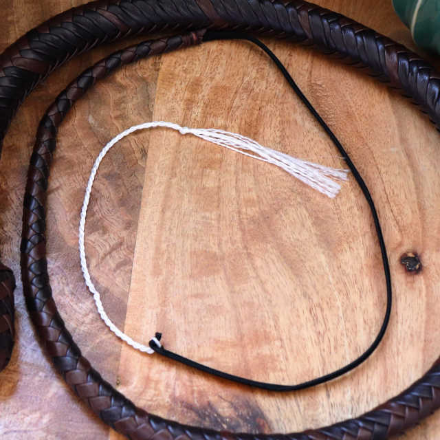 The Lizard - products.whips.whip-end.undefined