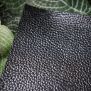 handle Cuir Brillant