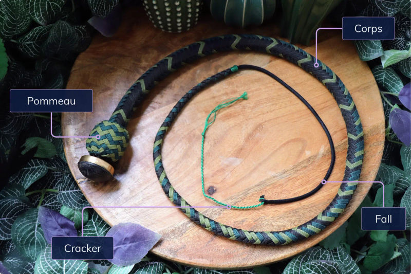 Anatomy of a Whip