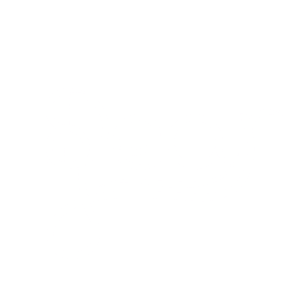 Logo D&S Gear