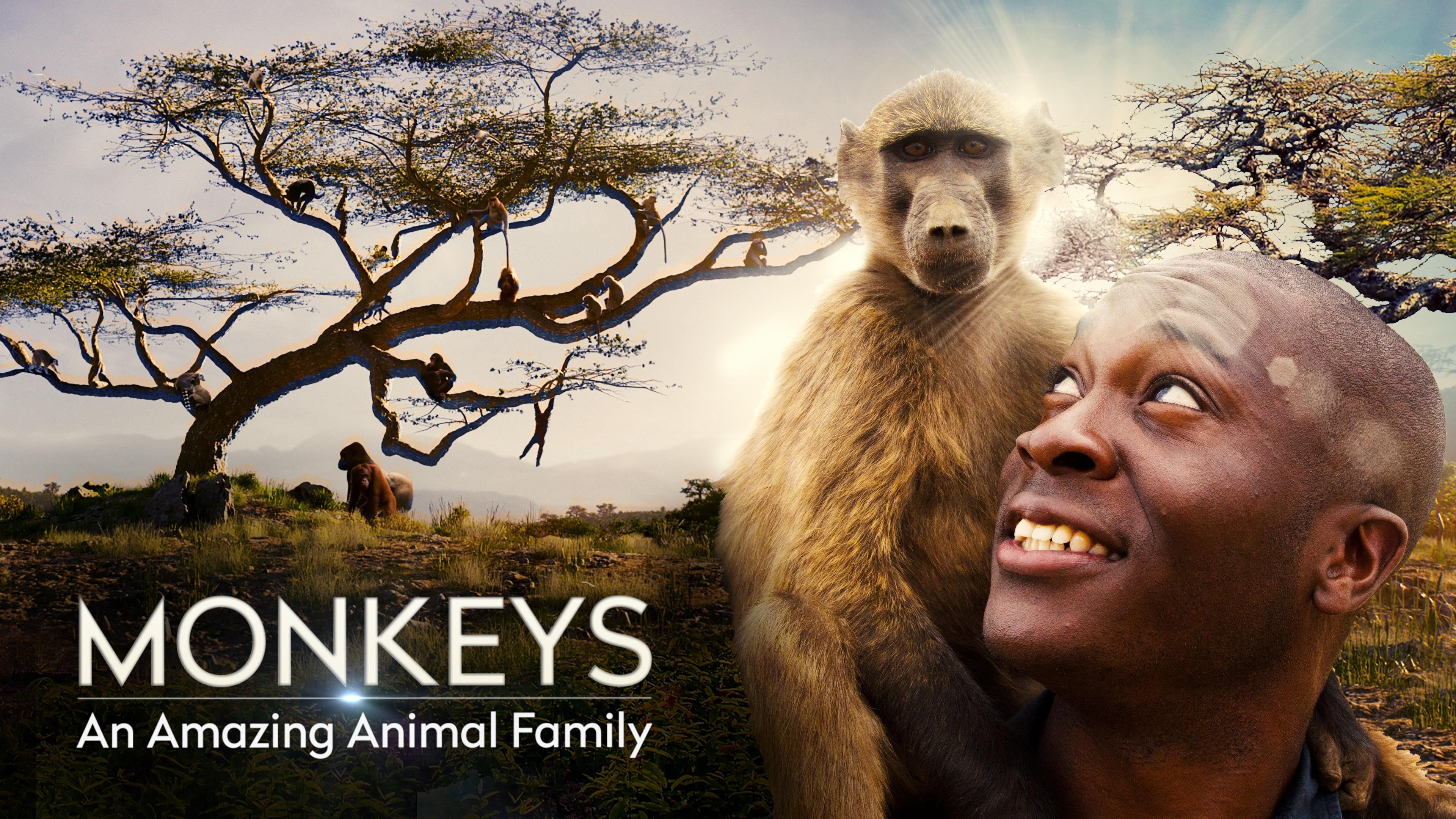 Monkeys: An Amazing Animal Family