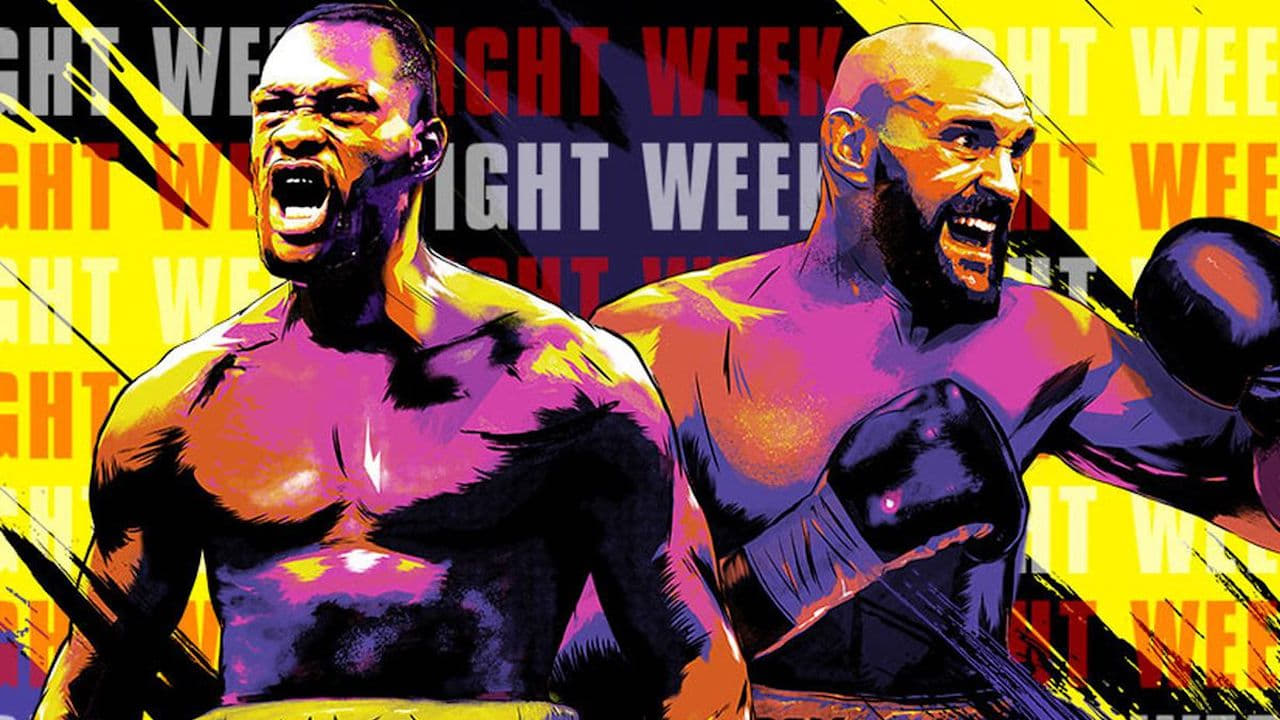 Deontay Wilder vs. Tyson Fury II