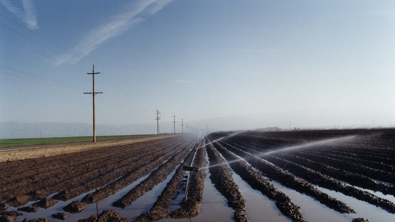 El Valley Centro