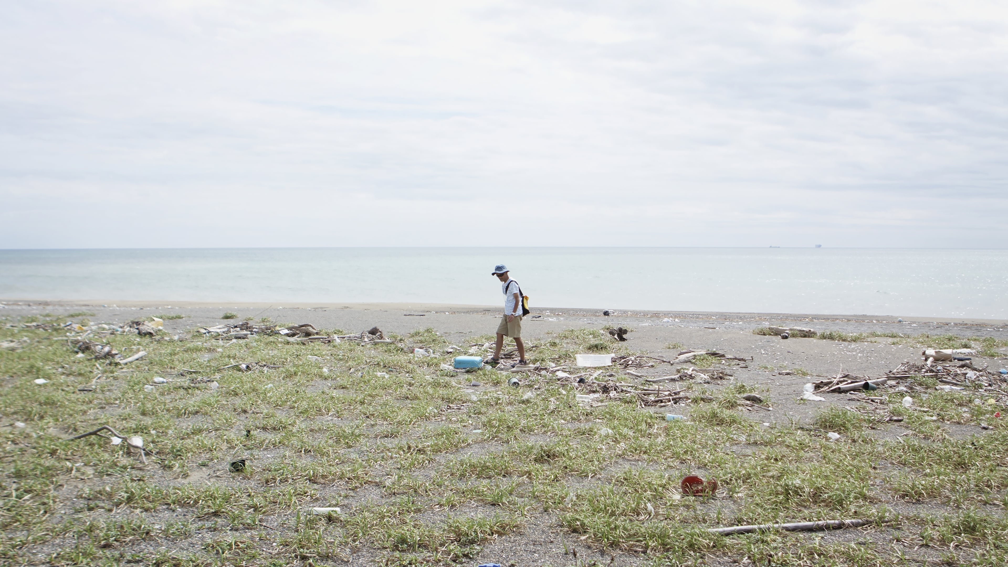 Walk the Tideline