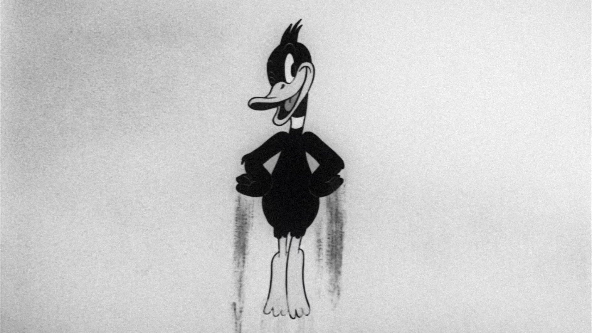 Daffy's Southern Exposure