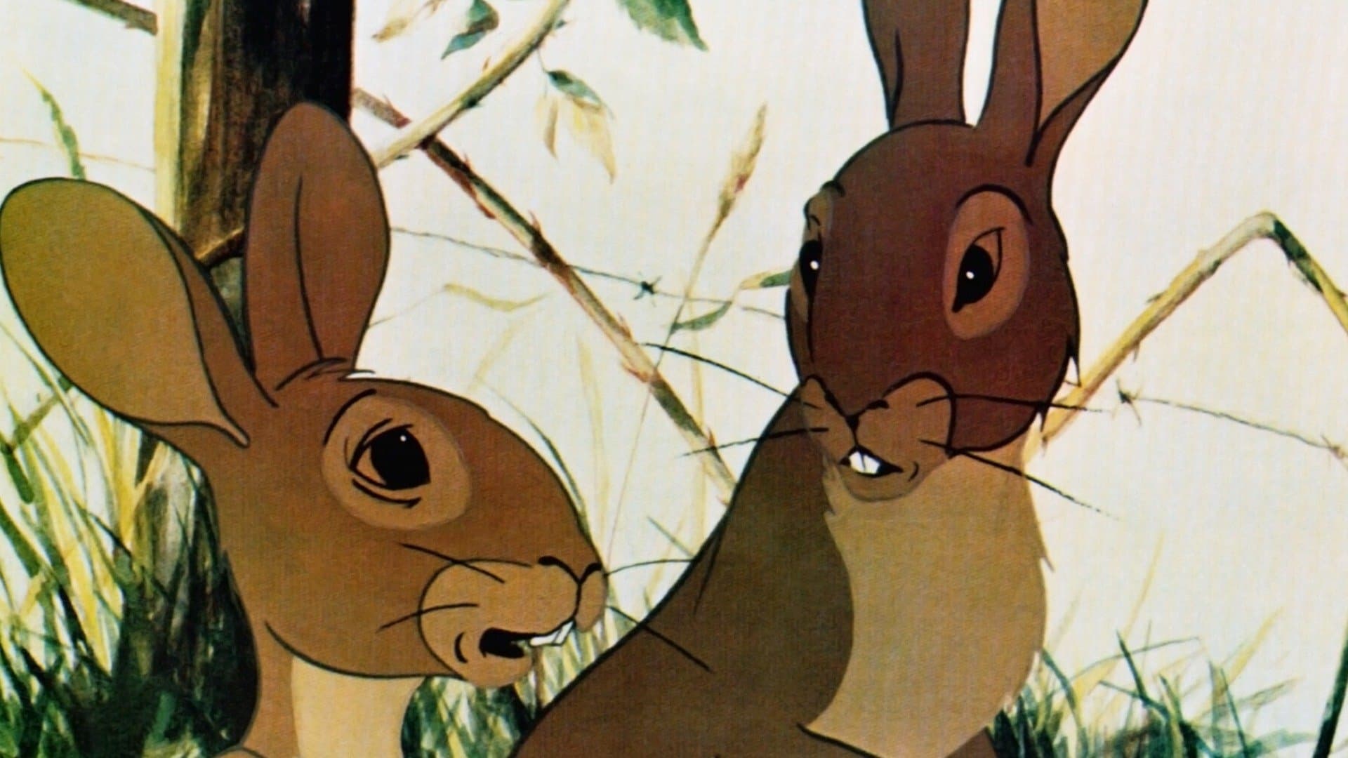 Watership Down