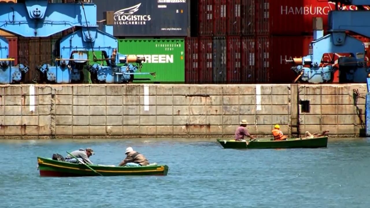 Baía do Espírito Santo – Um olhar canela-verde