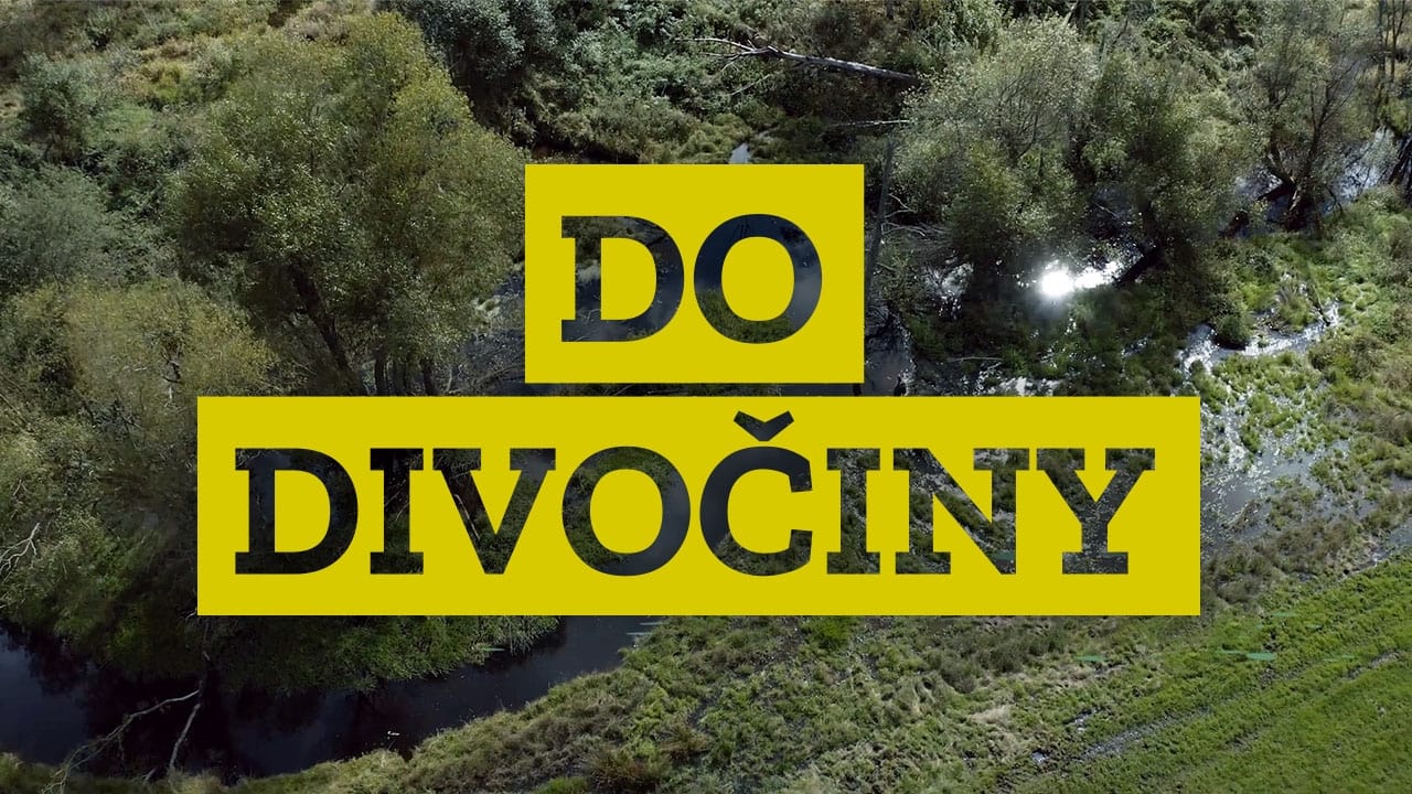 Do divočiny!