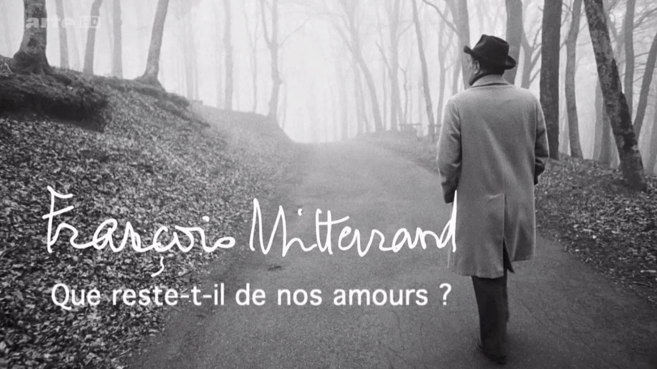 François Mitterrand : que reste-t-il de nos amours ?