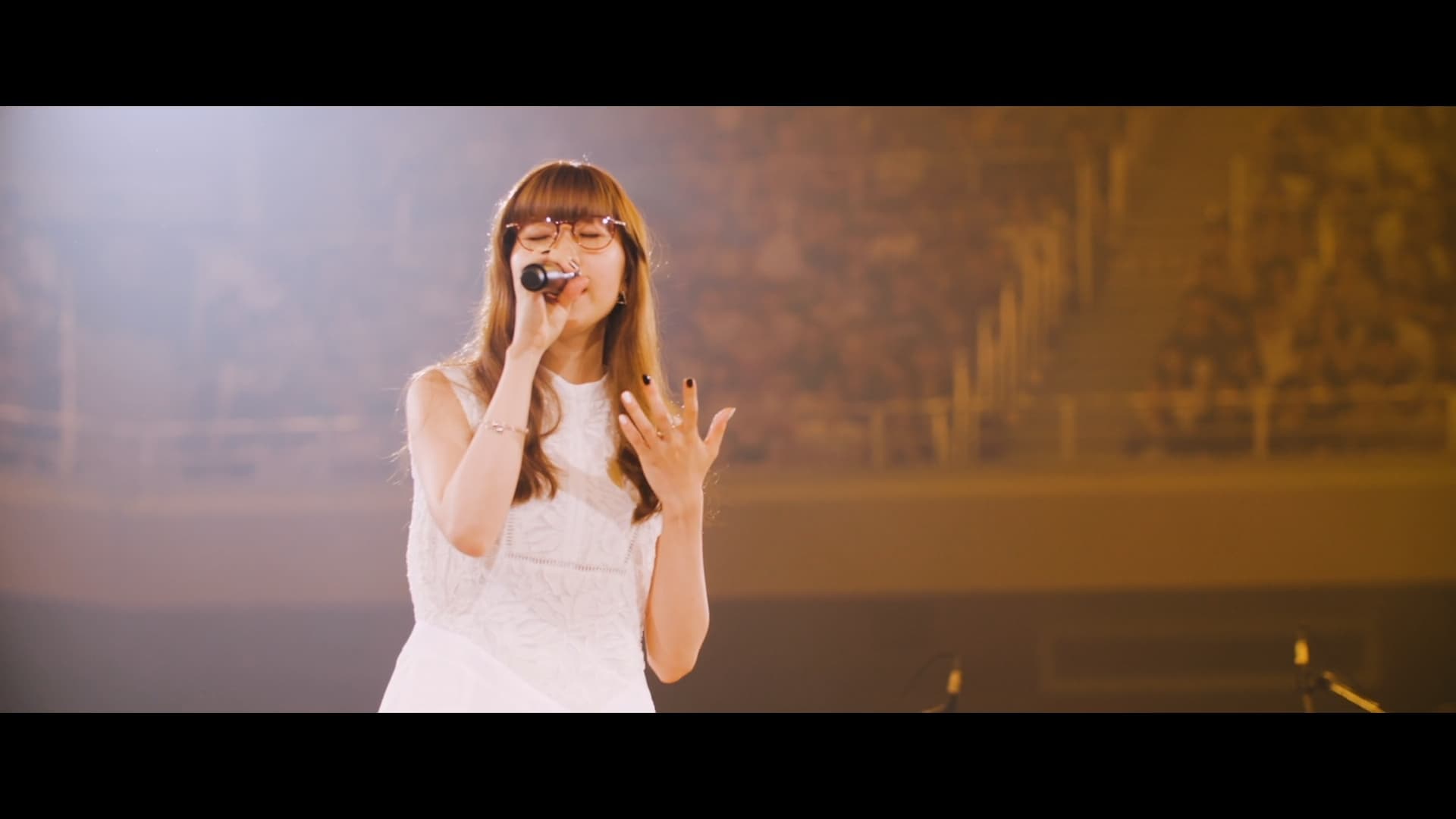 Aimer Live in Budokan "blanc et noir"