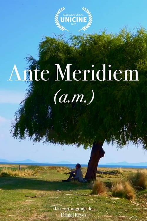 Ante Meridiem (a.m.)