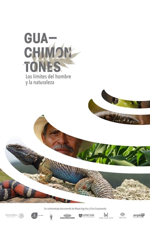 Guachimontones, los límites del hombre y la naturaleza.