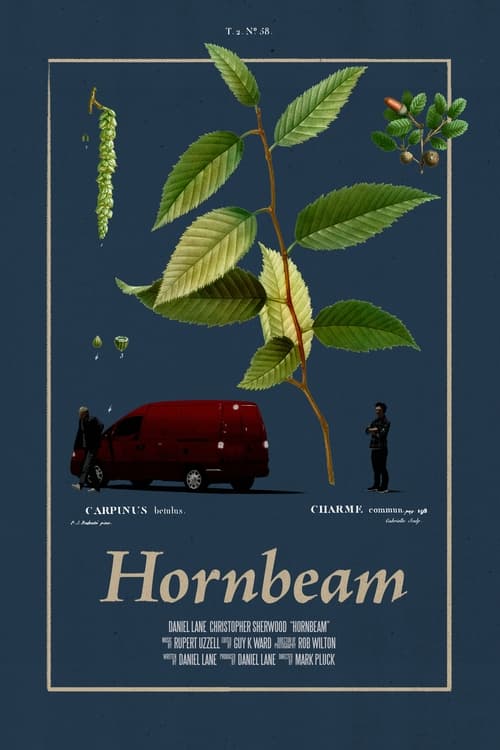 Hornbeam