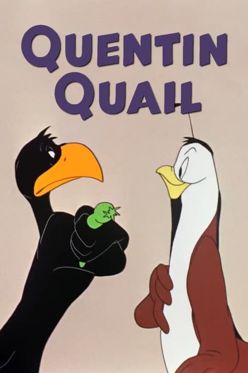 Quentin Quail