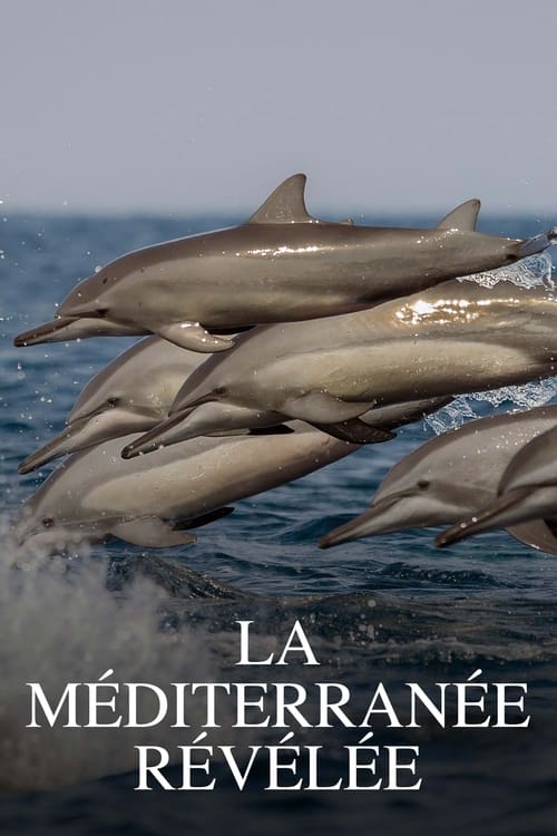 La Méditerranée révélée