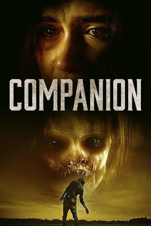 Companion