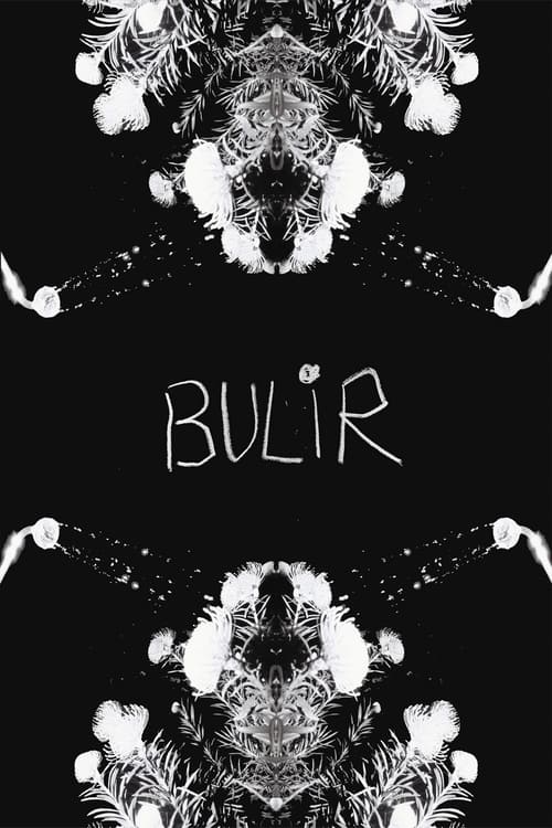 BULIR