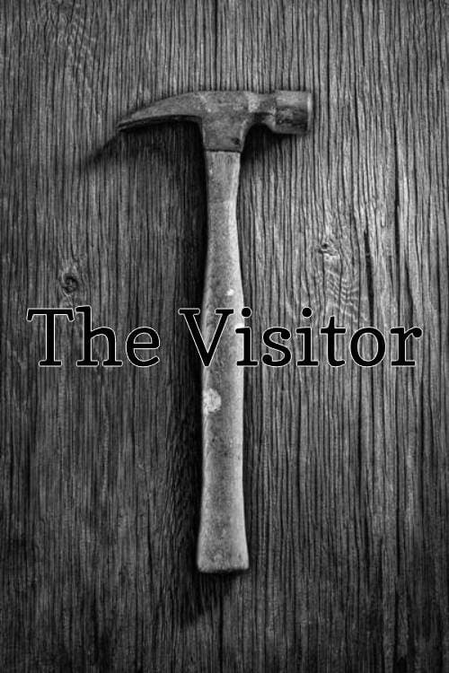 The Visitor