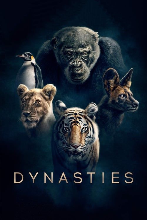 Dynasties