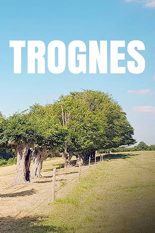 Trognes, les arbres aux mille visages