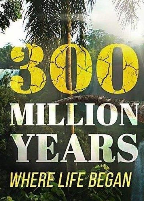 300 Million Years