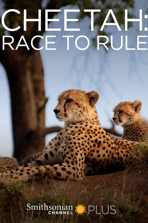 Cheetah: Race to Rule