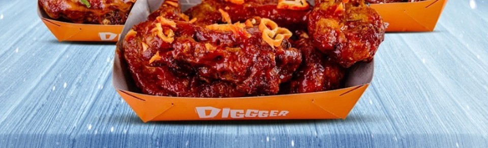 NAGA WINGS
