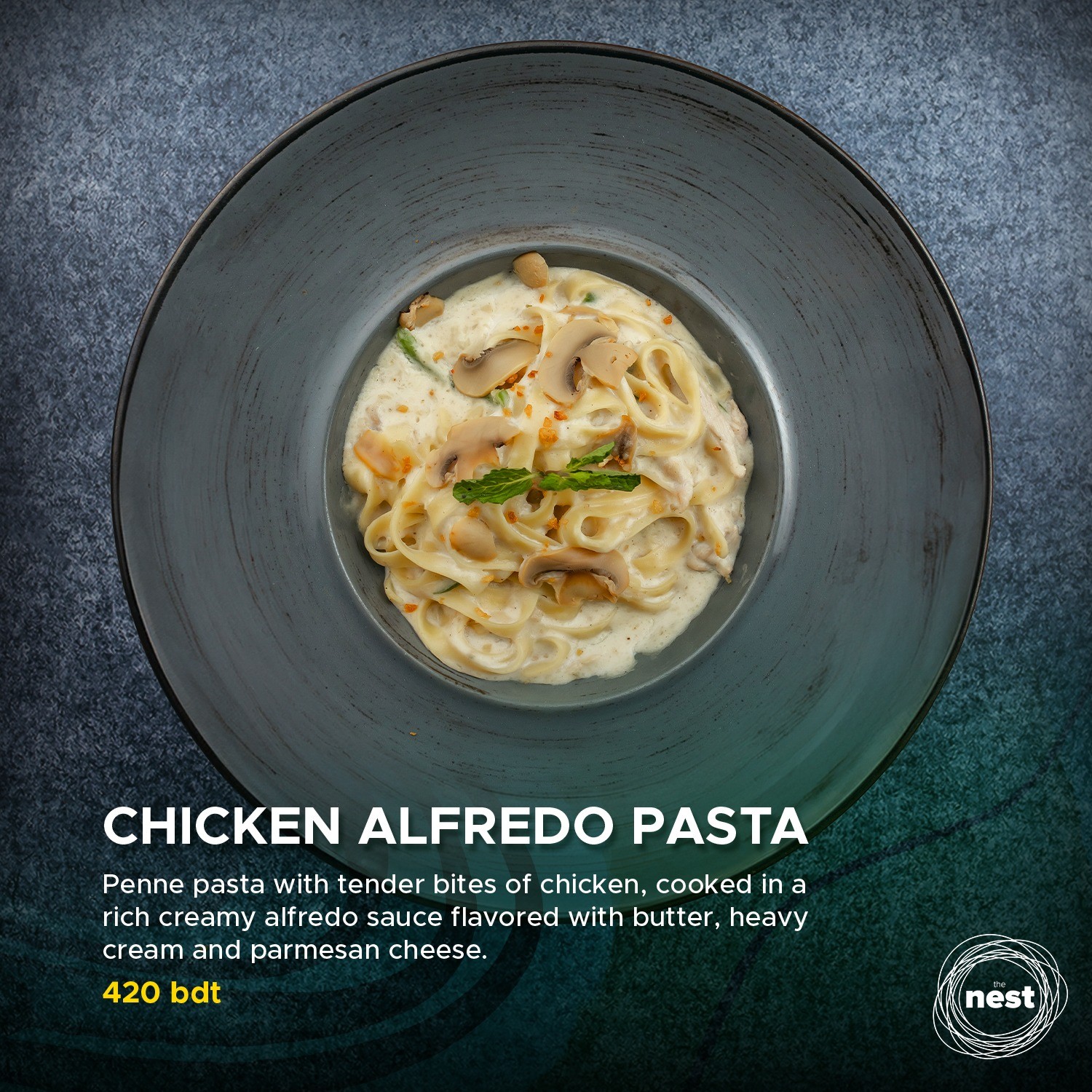 CHICKEN ALFREDO PASTA