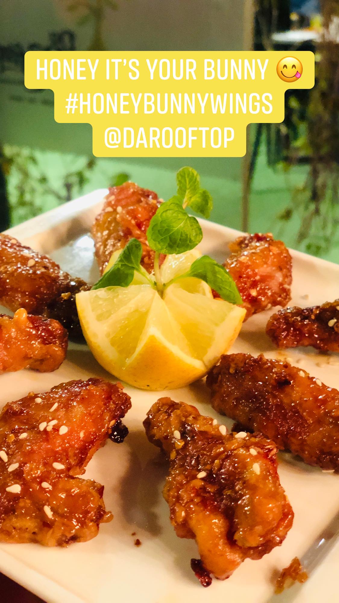 Honey Bunny Wings