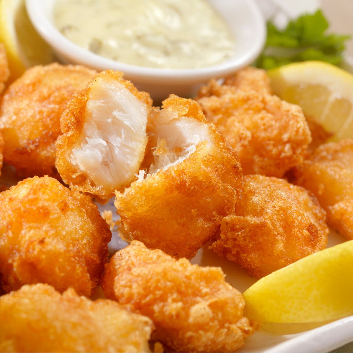 Fish Bytes