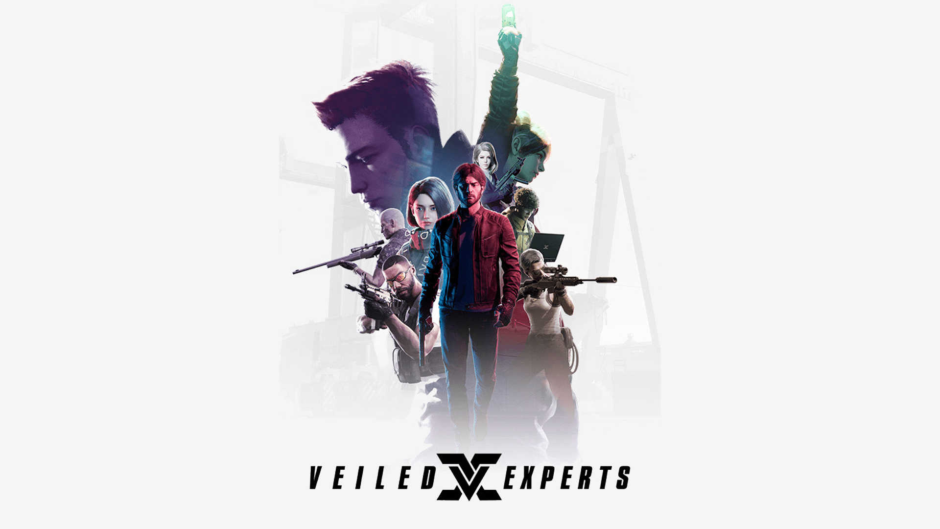 Veiled Experts Cover